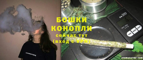 дживик Нея