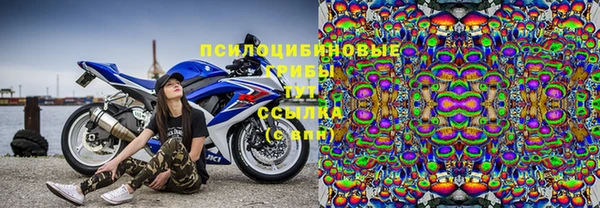 шишки Дмитров