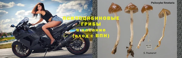 мет Нефтекумск