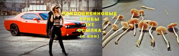 дживик Нея