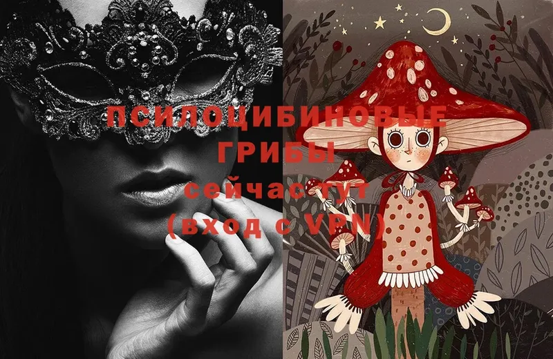 Псилоцибиновые грибы Magic Shrooms  Козельск 